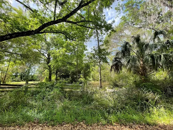 a backyard of a house with lots of green space and lake view