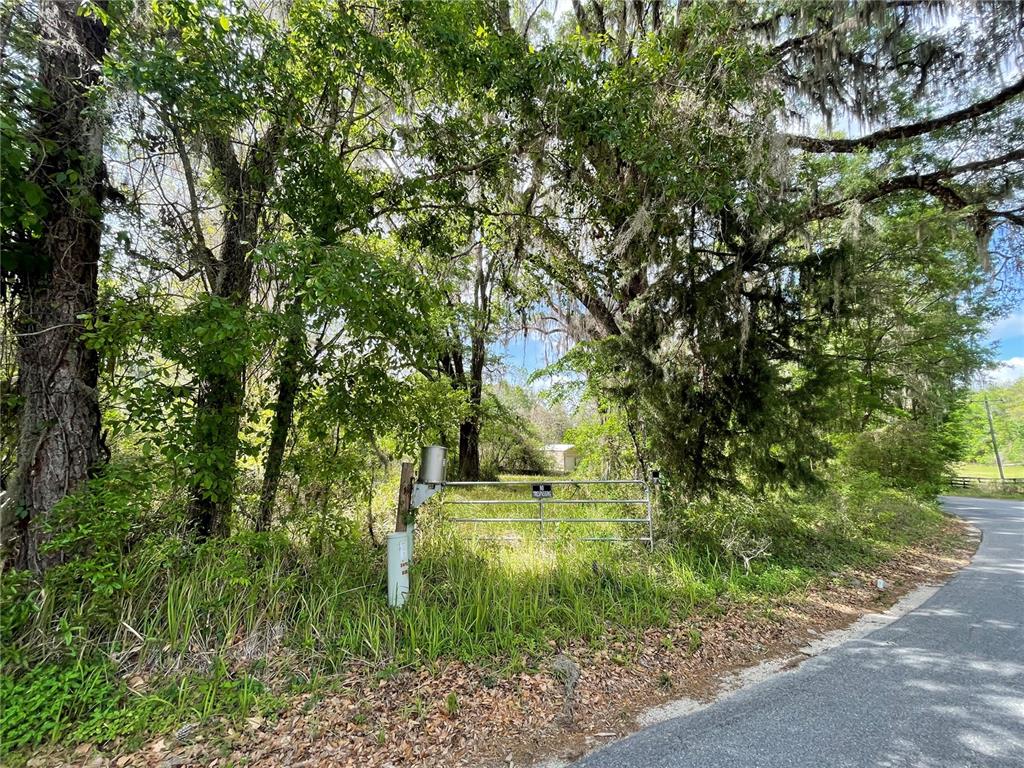 17400 Northwest 120th Ave Road Reddick, FL 32686 - Photo 10 of 20 a backyard of a house with lots of green space