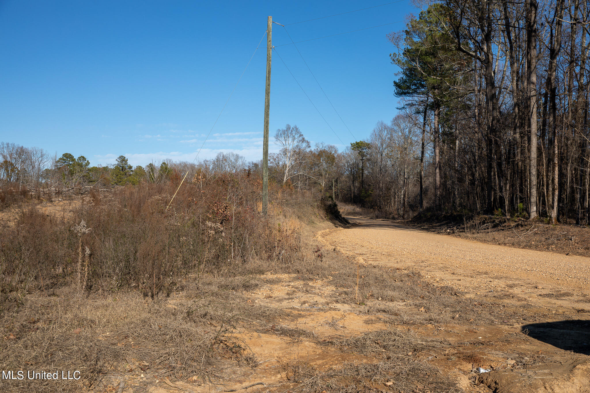Flowers Hill Road Vicksburg, MS 39183 - Photo 2 of 8 C55A4910