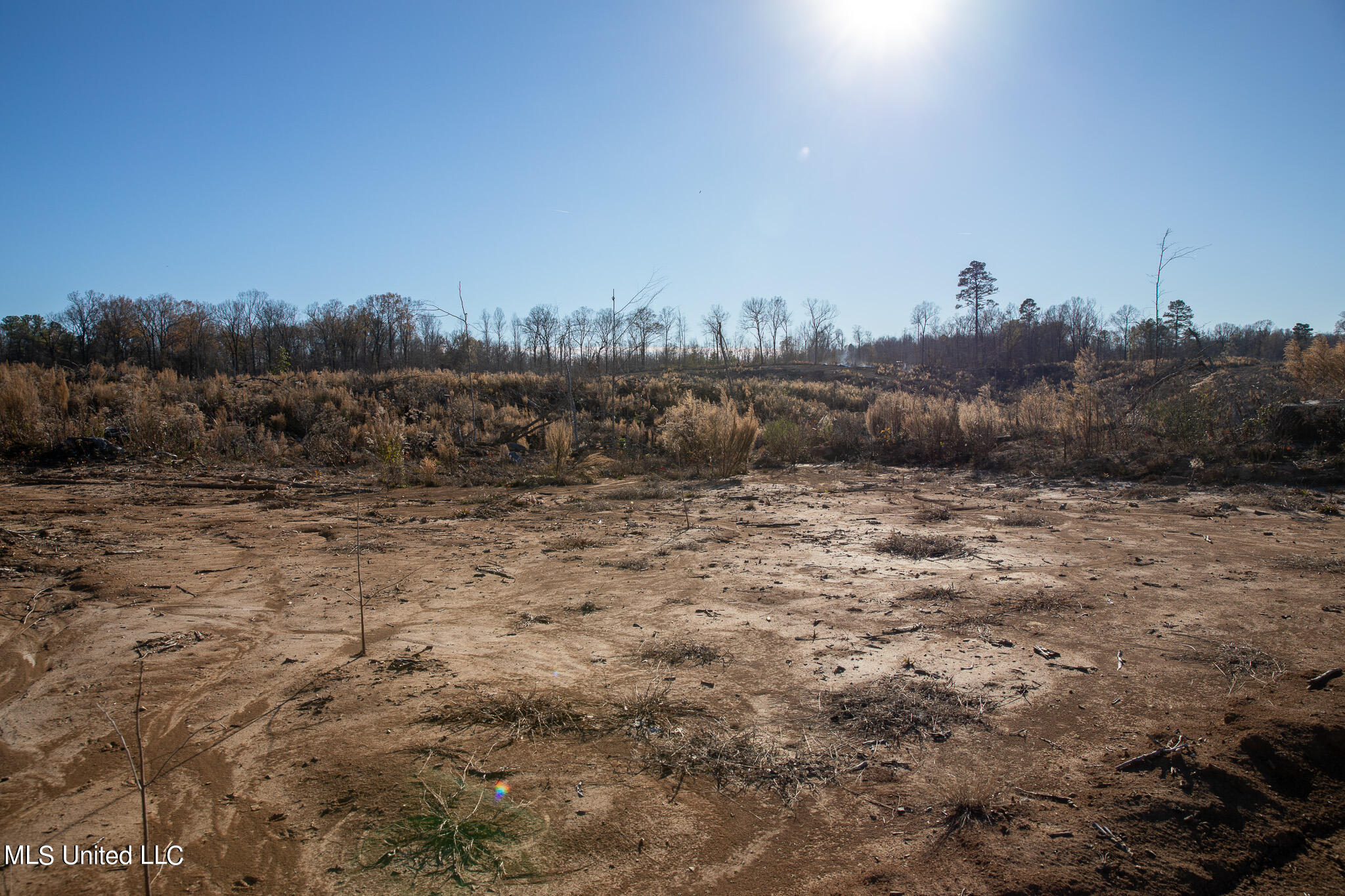 Flowers Hill Road Vicksburg, MS 39183 - Photo 5 of 8 C55A4914