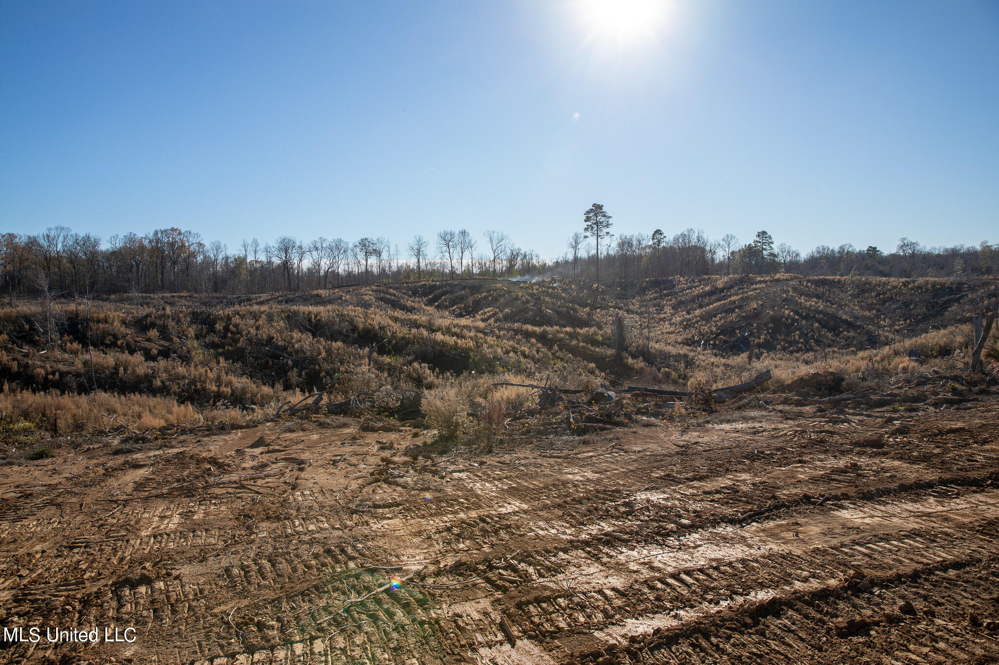 Flowers Hill Road Vicksburg, MS 39183 - Photo 6 of 8 C55A4915
