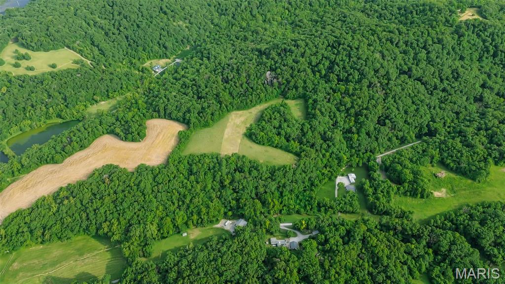 575 Schleeper Hollow Road Hardin, IL 62047 - Photo 14 of 61