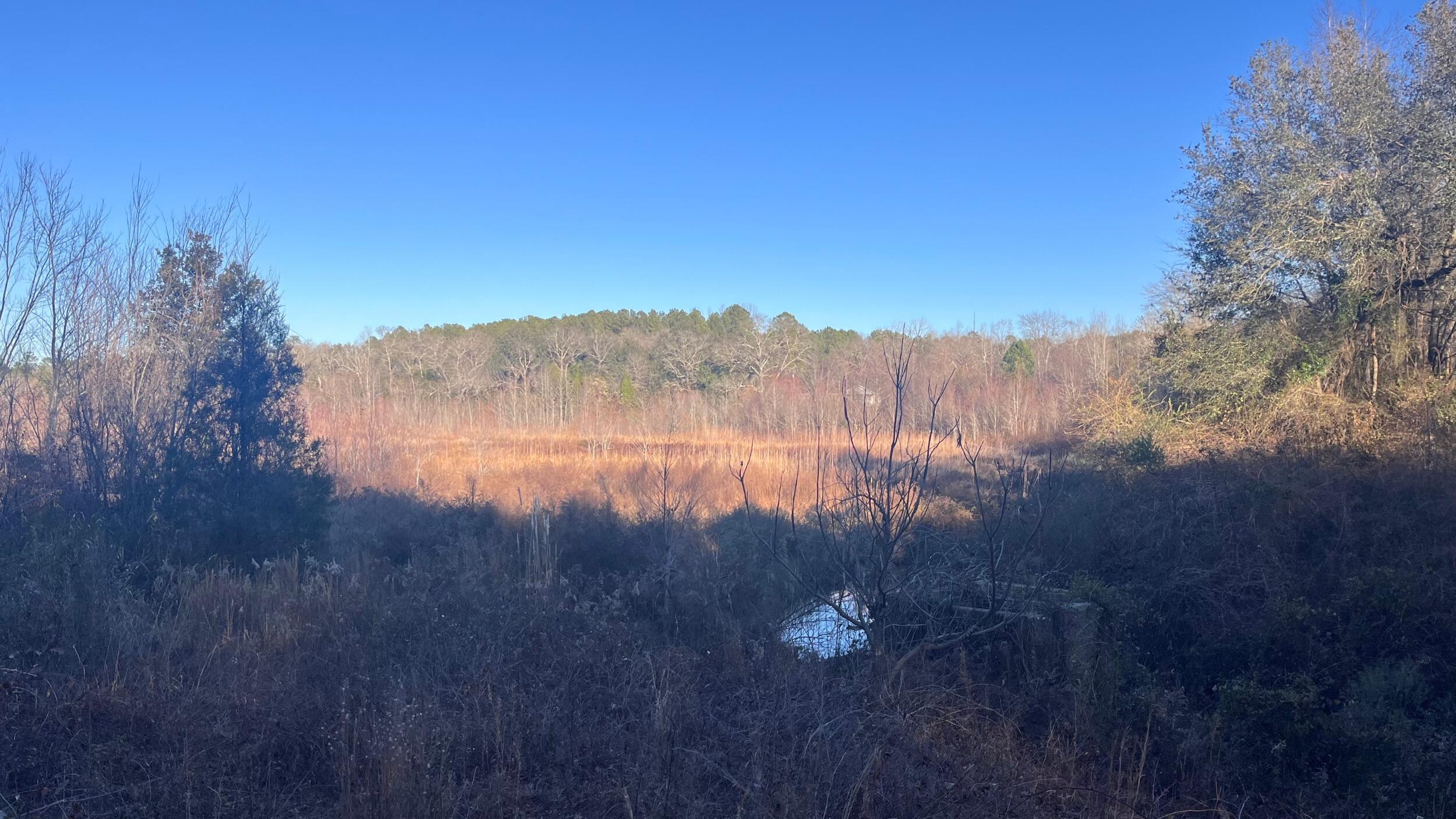 0 Millers Pond Road Salley, SC 29137 - Photo 23 of 28