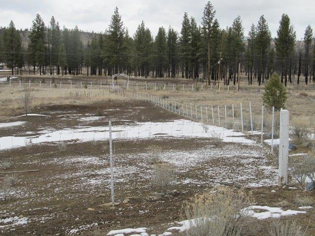 24142 Ruffled Grouse Lane Chiloquin, OR 97624 - Photo 15 of 24 Additional Photo