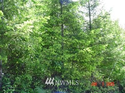 1 Southeast Bloomfield Road Shelton, WA 98584 - Photo 1 of 1 Gallery Image 1