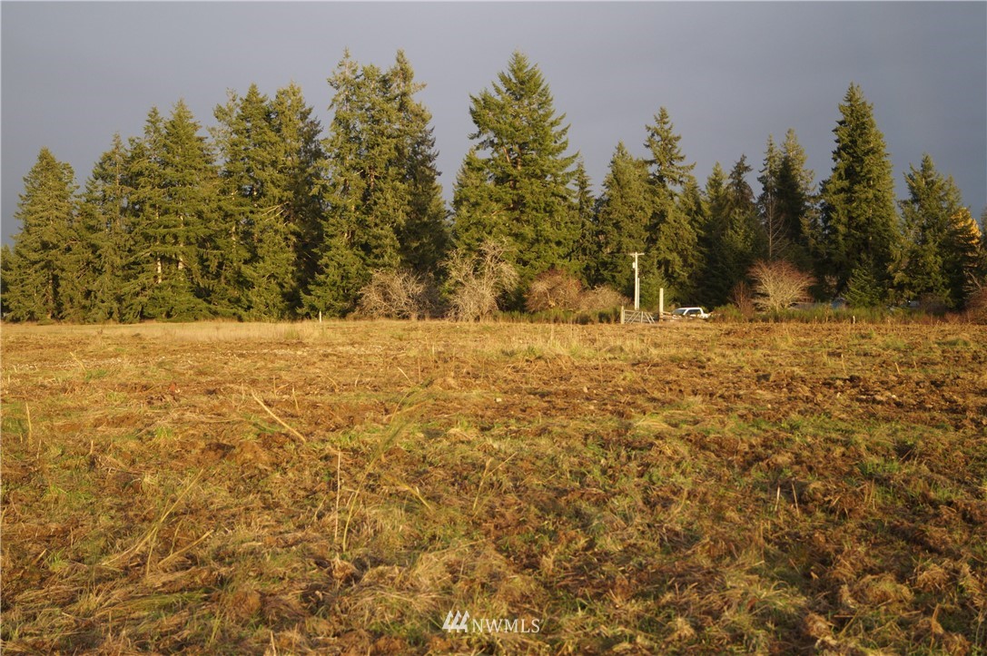 649 Middle Satsop Road Montesano, WA 98563 - Photo 11 of 20 Gallery Image 11