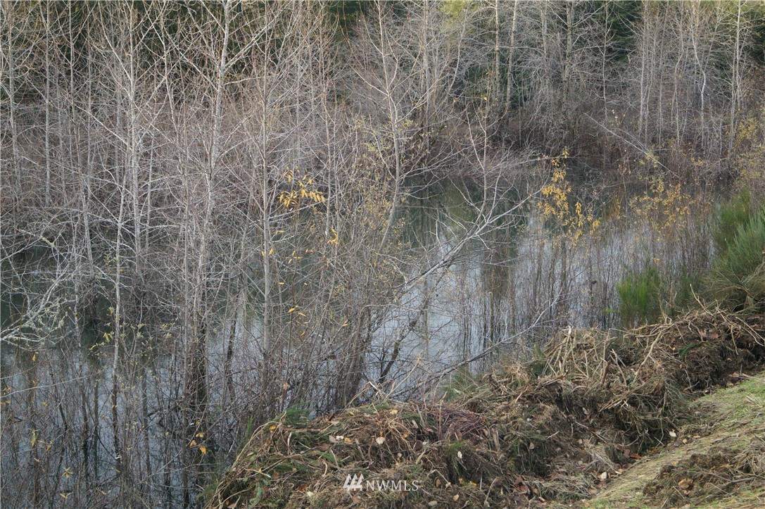 649 Middle Satsop Road Montesano, WA 98563 - Photo 12 of 20 Gallery Image 12