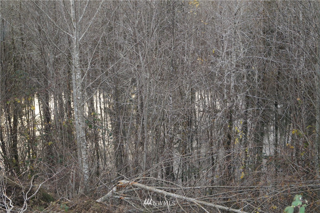 649 Middle Satsop Road Montesano, WA 98563 - Photo 14 of 20 Gallery Image 14