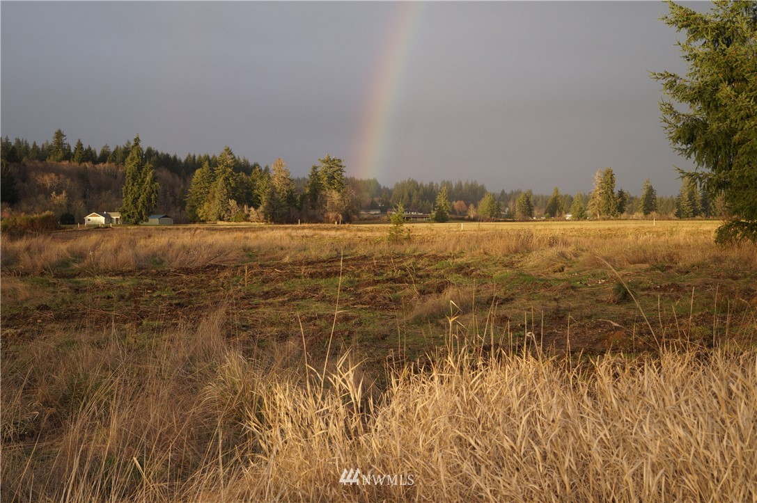 649 Middle Satsop Road Montesano, WA 98563 - Photo 15 of 20 Gallery Image 15