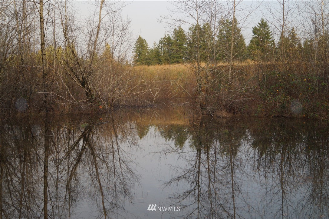 649 Middle Satsop Road Montesano, WA 98563 - Photo 20 of 20 Gallery Image 20