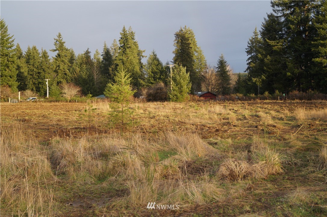 649 Middle Satsop Road Montesano, WA 98563 - Photo 10 of 20 Gallery Image 10