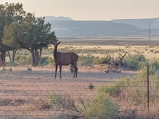 a view of a field with an ocean view