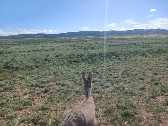 a view of a lake with sunset in the background