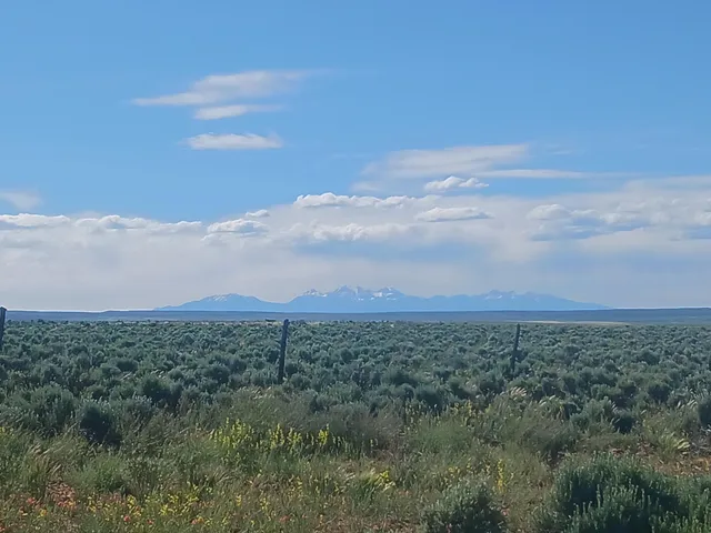 a view of a green field