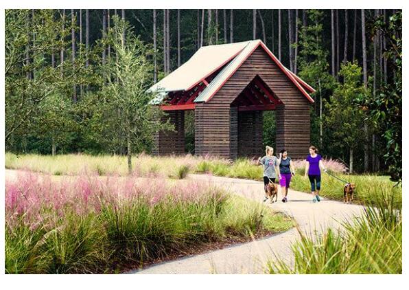 356 Baritone Road Summerville, SC 29486 - Photo 6 of 13 nexton running trails