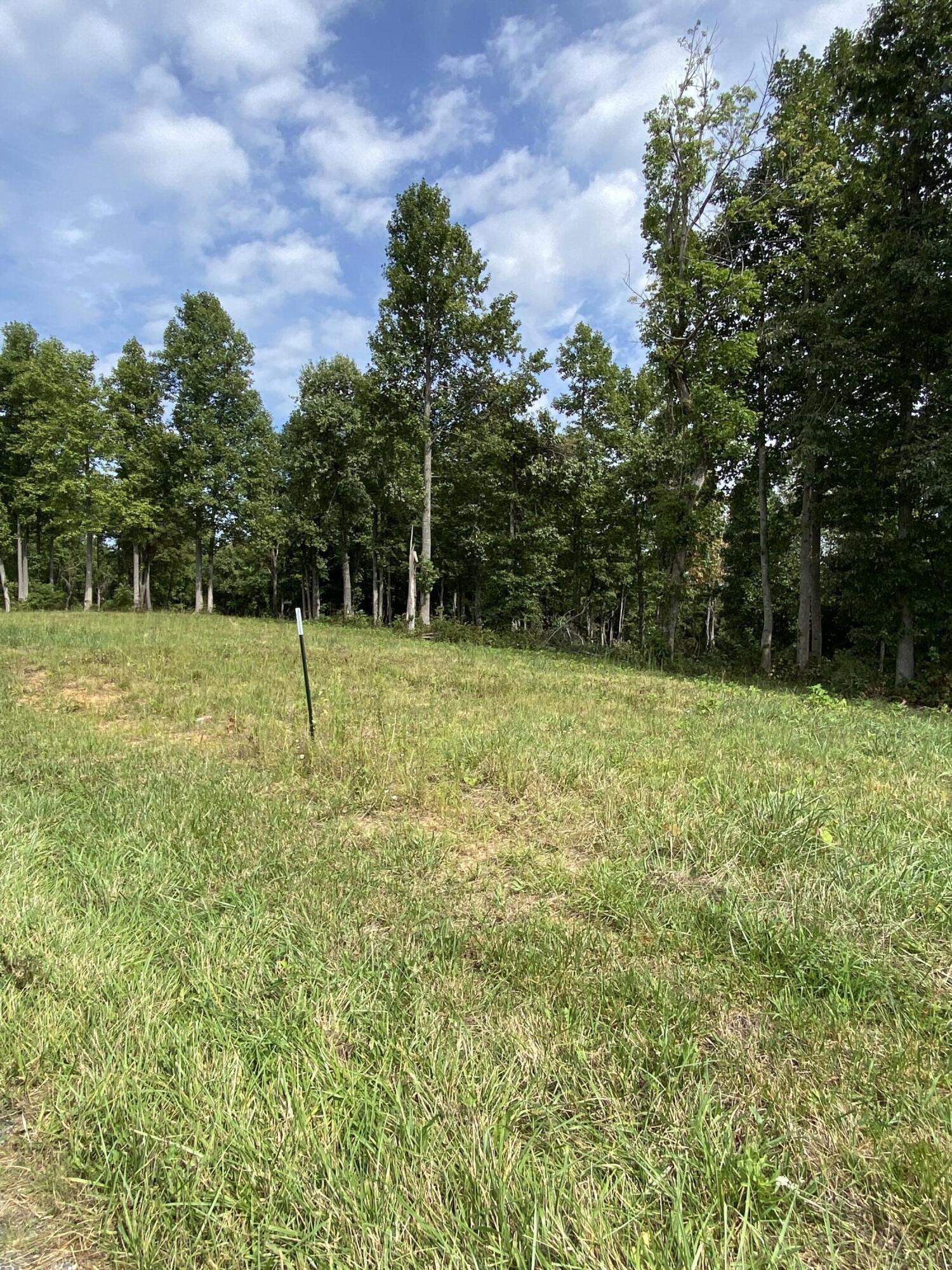 Lot D Greasy Ridge Road Waynesburg, KY 40489 - Photo 2 of 2 IMG_7432