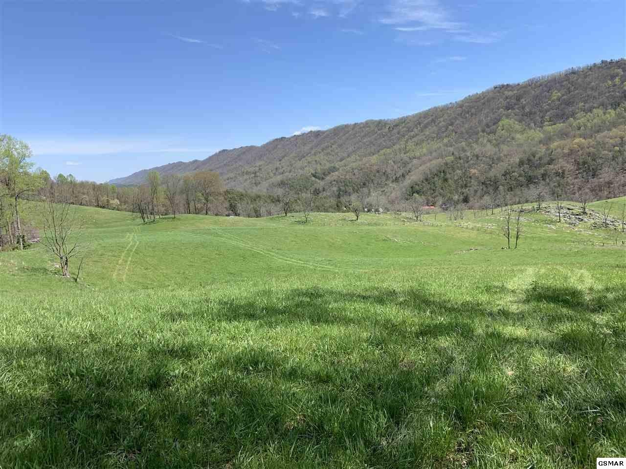 617 War Creek Road Eidson, TN 37731 - Photo 7 of 35