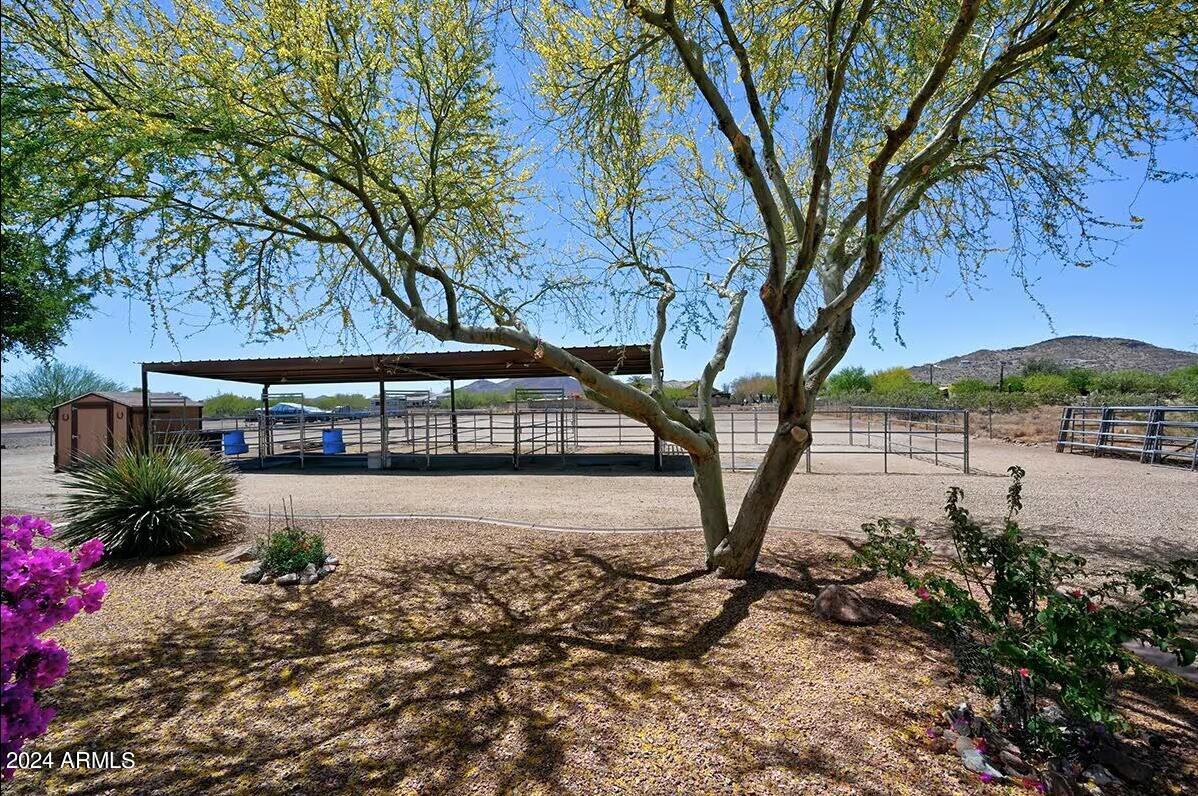2427 West Tanya Road Phoenix, AZ 85086 - Photo 28 of 34 IMG_9853