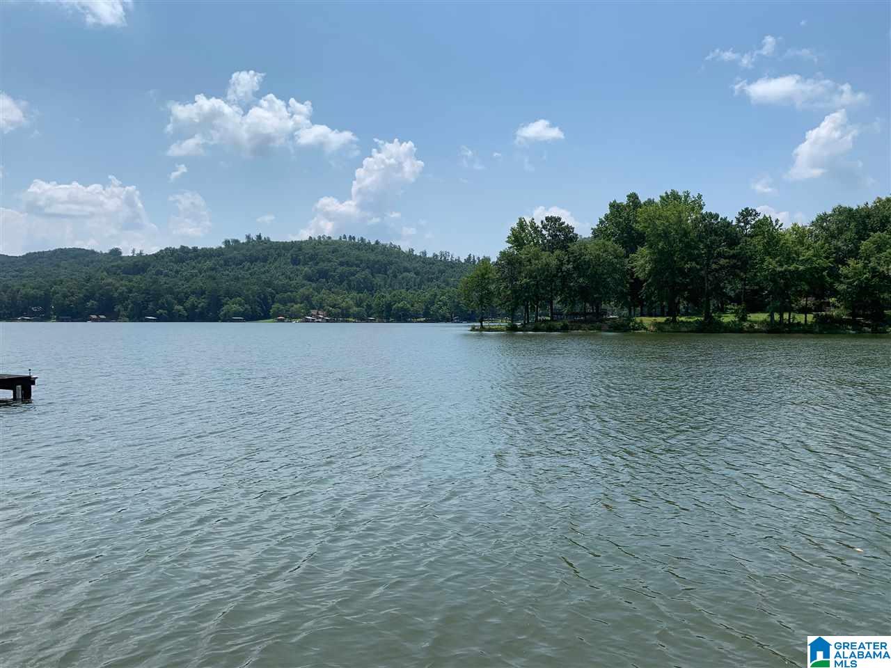 45 County Road 764 Cedar Bluff, AL 35959 - Photo 4 of 38