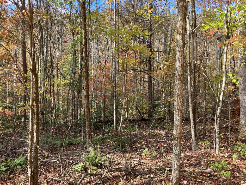 39 A Hedden Stiles Road Murphy, NC 28906 - Photo 10 of 30
