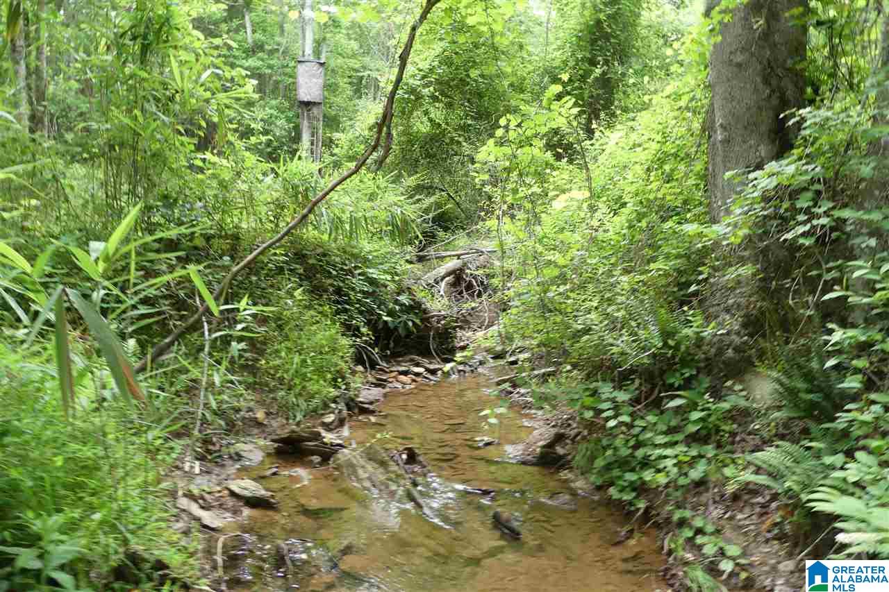 3036 County Road 7 Wedowee, AL 36278 - Photo 3 of 17