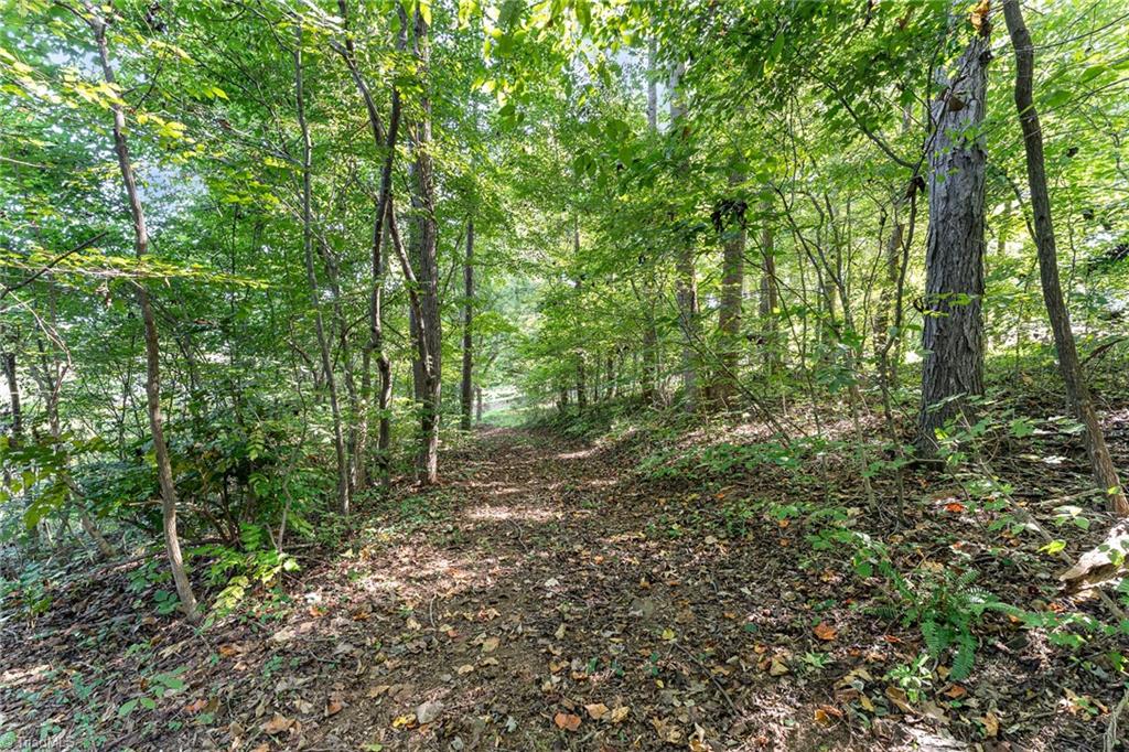 194 Cedar Ridge Road Mocksville, NC 27028 - Photo 43 of 50