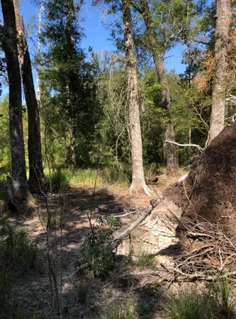 $399,000 | 0 Co Road, Cleveland, TX 77327