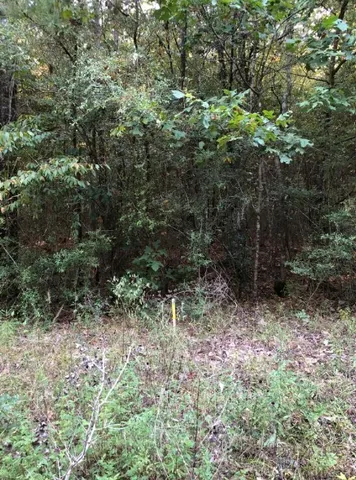 $399,000 | 0 Co Road, Cleveland, TX 77327