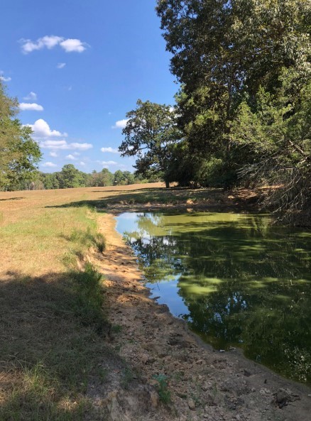 0 Co Road Cleveland, TX 77327 - Photo 4 of 6