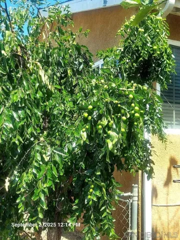 $2,325,000 | 6736-40 Kelly Street, San Diego, CA 92111