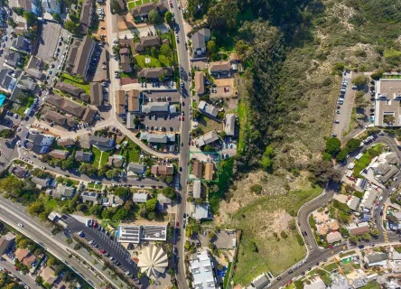 a view of a yard with plants and large trees