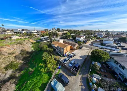 a close up of a flower in a garden