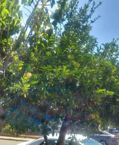 $2,325,000 | 6736-40 Kelly Street, San Diego, CA 92111