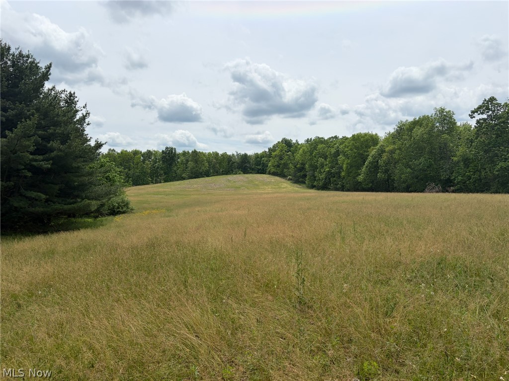 Apollo Road Northeast Salineville, OH 43945 - Photo 2 of 17
