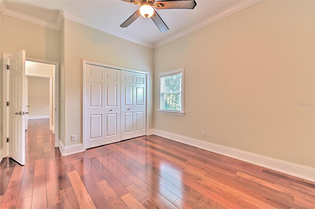 5207 Merion Road Valrico, FL 33596 - Photo 34 of 100 Gallery Image 34