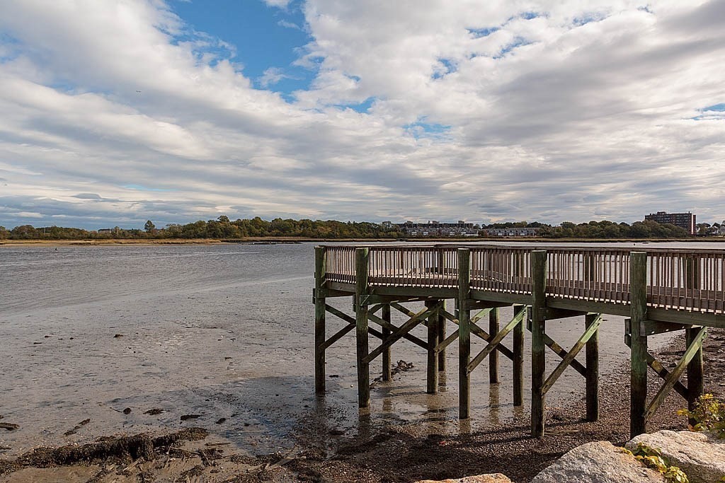 171 Walnut Street, Unit 4 Boston, MA 02122 - Photo 26 of 31 a view of a terrace with outdoor seating and barbeque