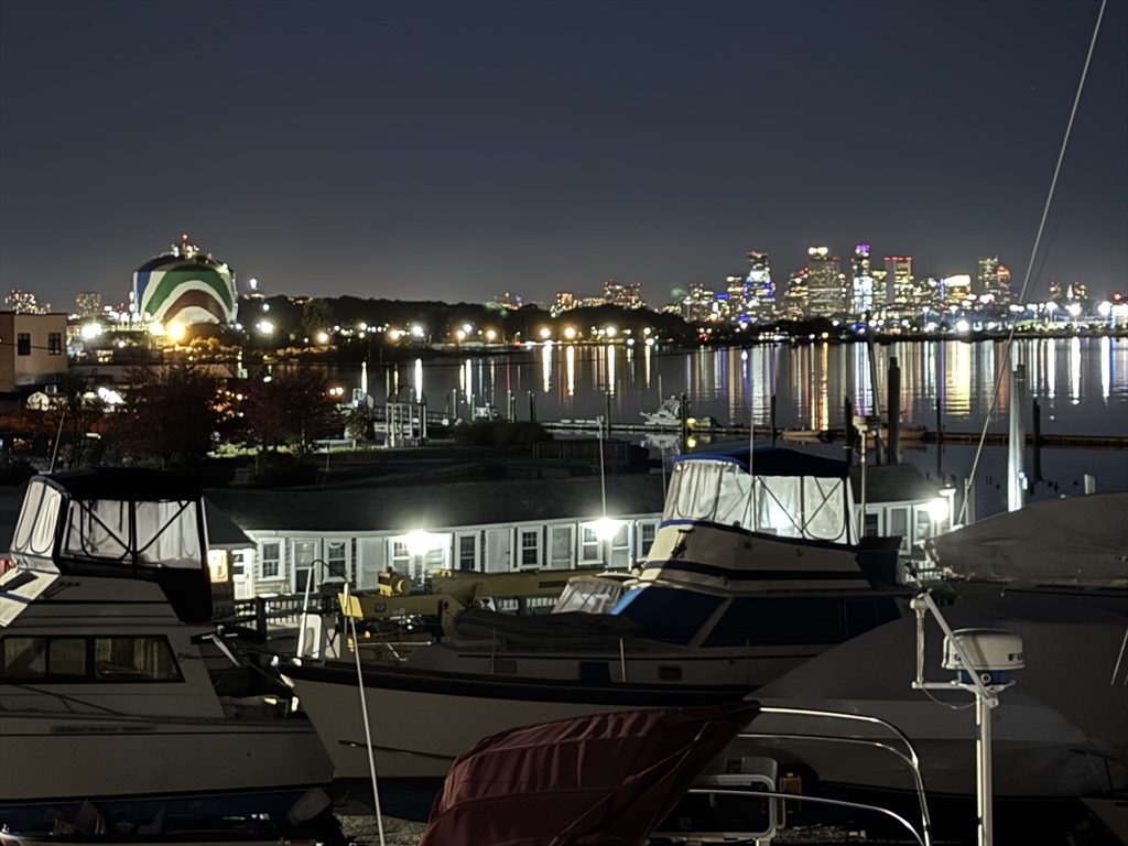 171 Walnut Street, Unit 4 Boston, MA 02122 - Photo 29 of 31 a view of a chairs and table in a patio