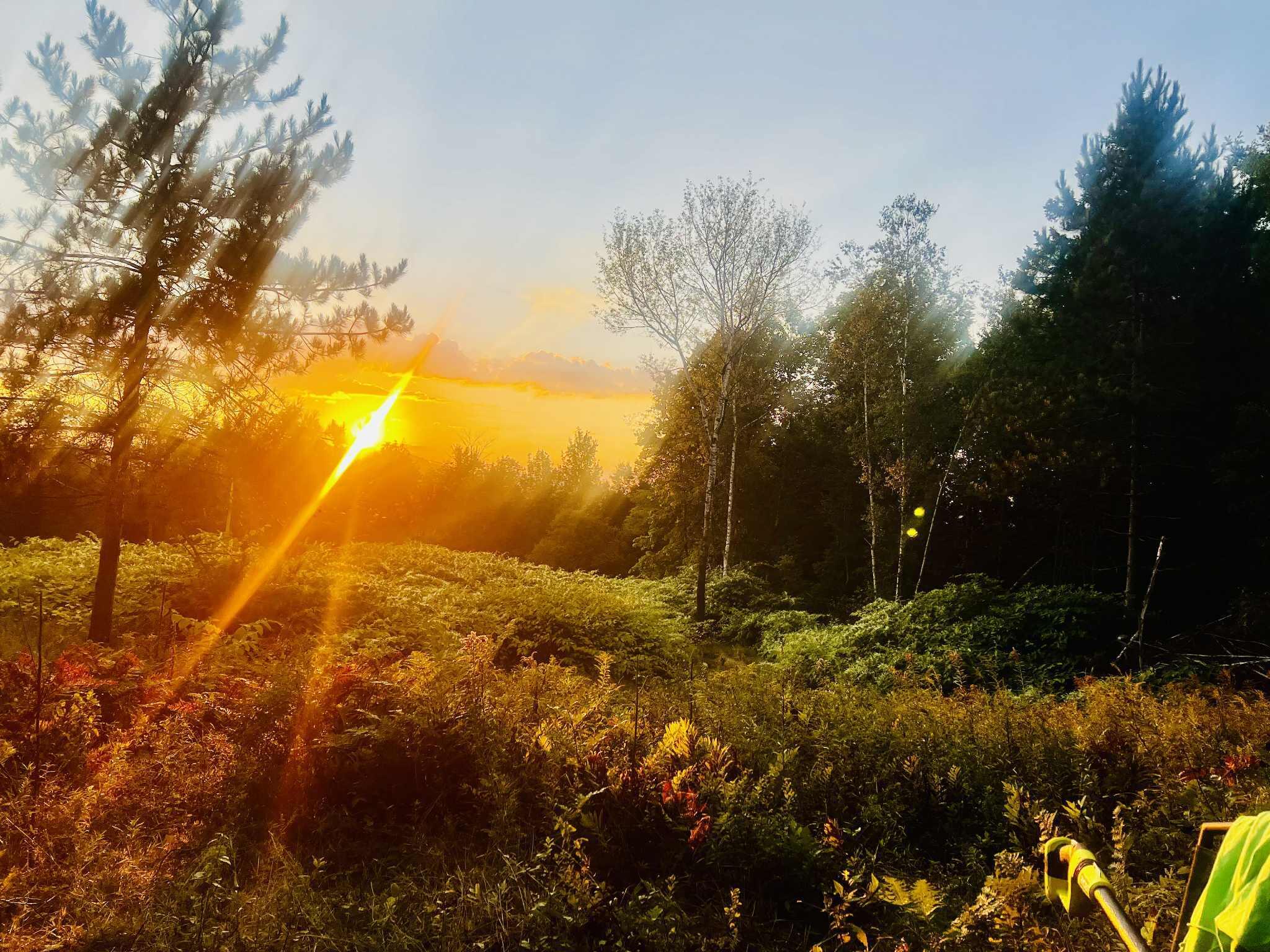 108 South Road Harmony, ME 04942 - Photo 4 of 17 5cf5d885-e21e-41f3-83c0-15fdc7dddc0f