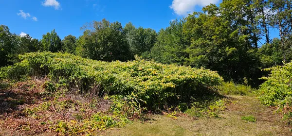 $49,000 | 108 South Road, Harmony, ME 04942