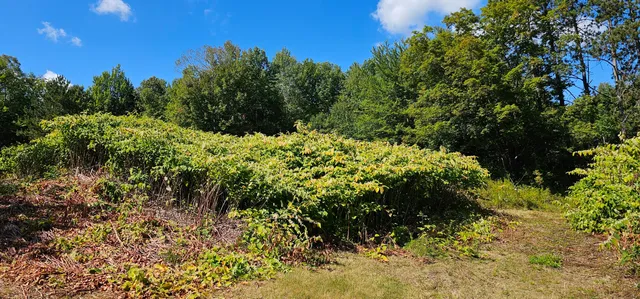 $52,000 | 108 South Road, Harmony, ME 04942