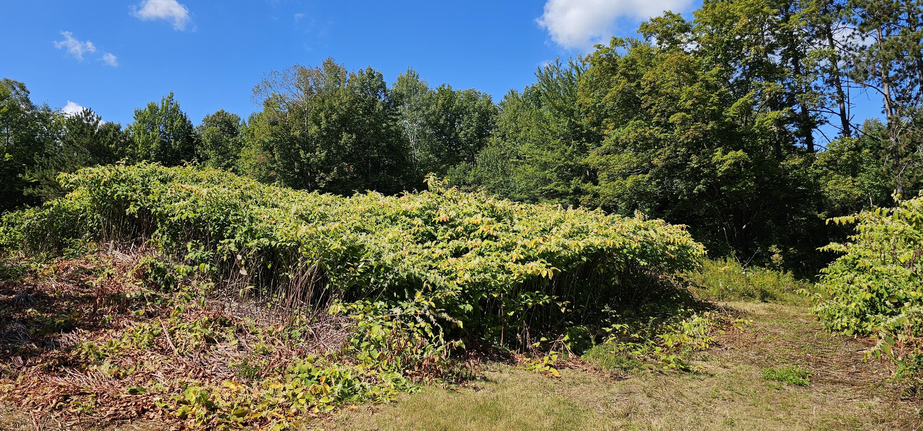 108 South Road Harmony, ME 04942 - Photo 8 of 17 20250903_131048