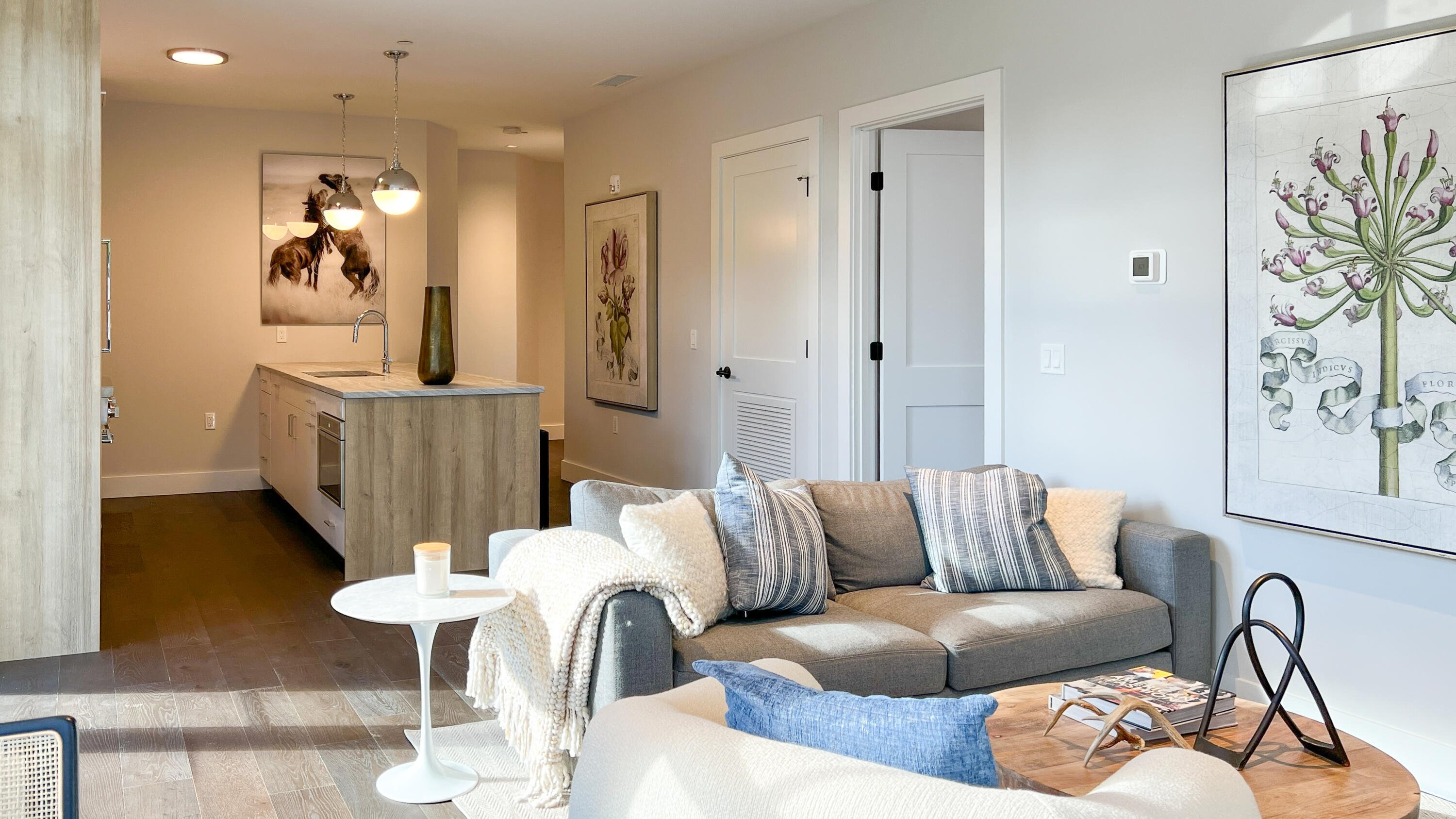 180 Park Street, Unit 204 New Canaan, CT 06840 - Photo 15 of 31 a living room with furniture flowerpot and a chandelier