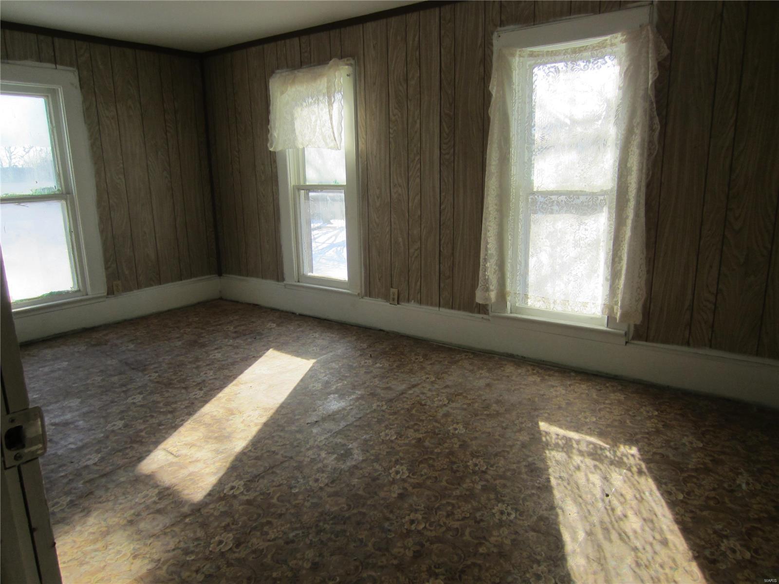 203 West Rowe Street Roodhouse, IL 62082 - Photo 21 of 25 Gallery Image 21