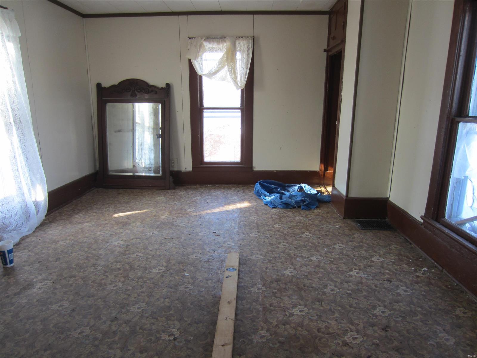 203 West Rowe Street Roodhouse, IL 62082 - Photo 23 of 25 Gallery Image 23
