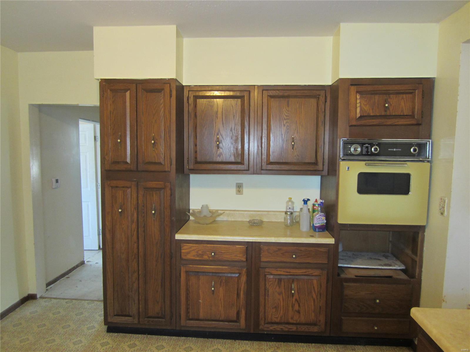 203 West Rowe Street Roodhouse, IL 62082 - Photo 8 of 25 Gallery Image 8