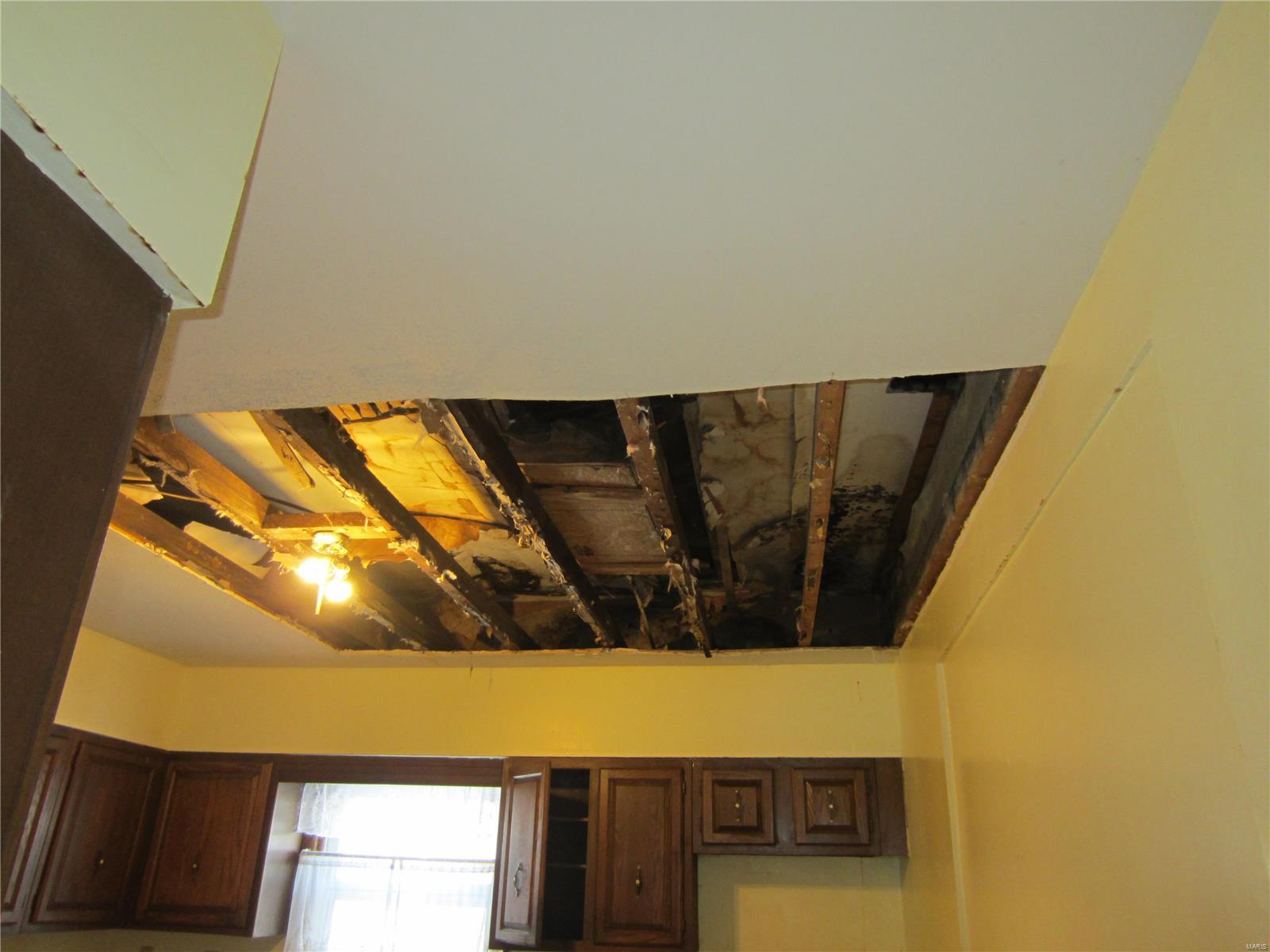 203 West Rowe Street Roodhouse, IL 62082 - Photo 10 of 25 Gallery Image 10