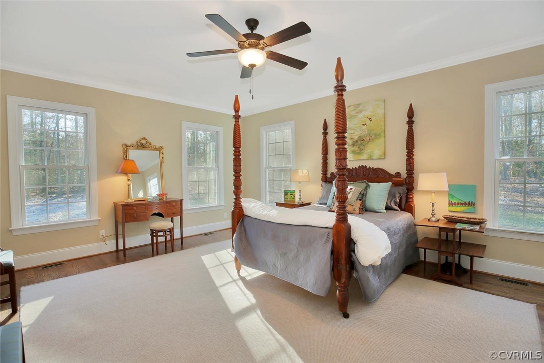 3042 Braehead Road Powhatan, VA 23139 - Photo 23 of 50 Sun filled master suite with views of nature's glo