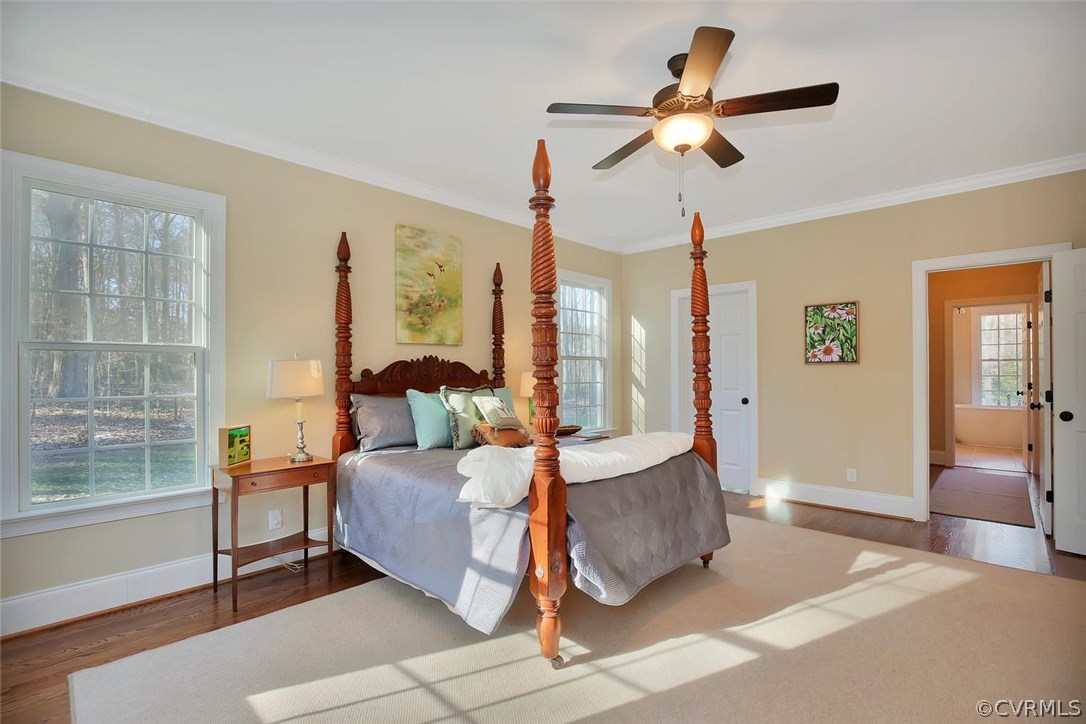 3042 Braehead Road Powhatan, VA 23139 - Photo 24 of 50 Master suite with door to a large walk-in closet w