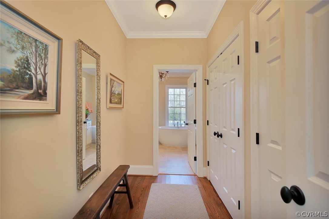 3042 Braehead Road Powhatan, VA 23139 - Photo 25 of 50 Dressing room passage with wonderful closets.