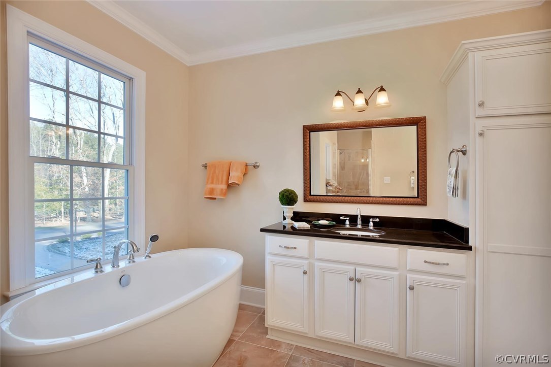 3042 Braehead Road Powhatan, VA 23139 - Photo 27 of 50 Master bath second sink and soaking tub. Vertical